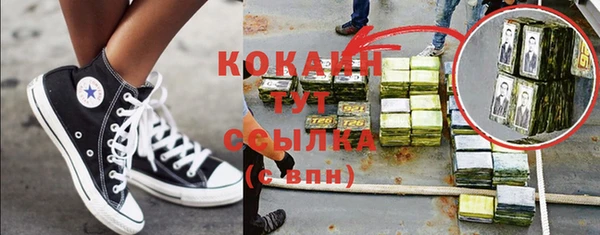 индика Карталы