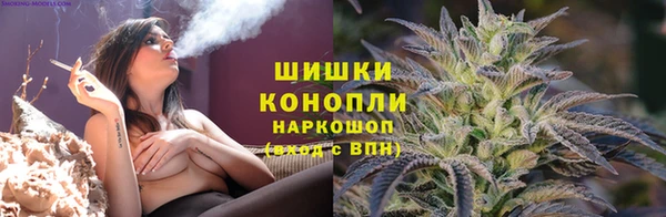 дживик Балахна