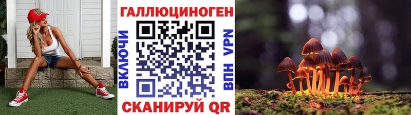 цена наркотик  Северобайкальск  OMG   Галлюциногенные грибы мухоморы 